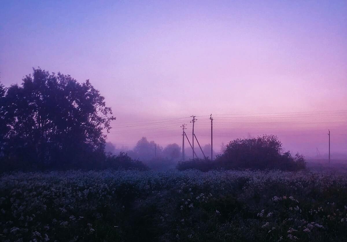 B体育官网：重新定义观赛与互动的未来之门